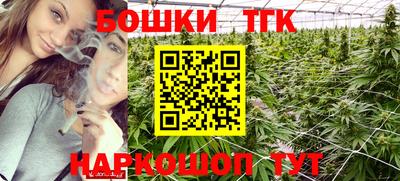 мет Можга
