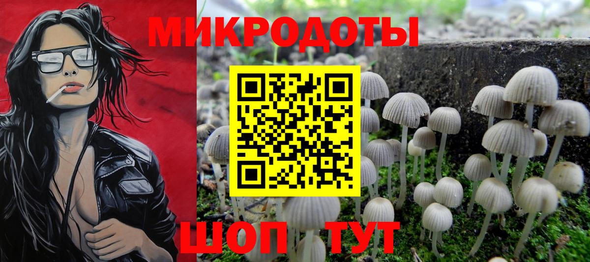 Галлюциногенные грибы мухоморы Южно-Сахалинск