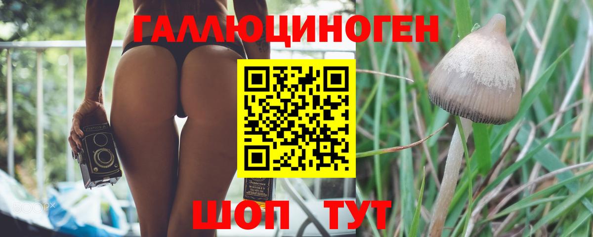 Южно-Сахалинск  Псилоцибиновые грибы Magic Shrooms  Вход с VPN 